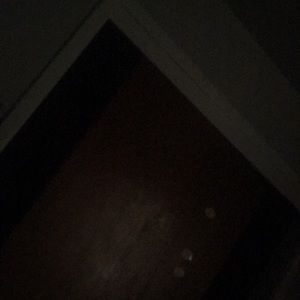 Meet your Posher, Cesar